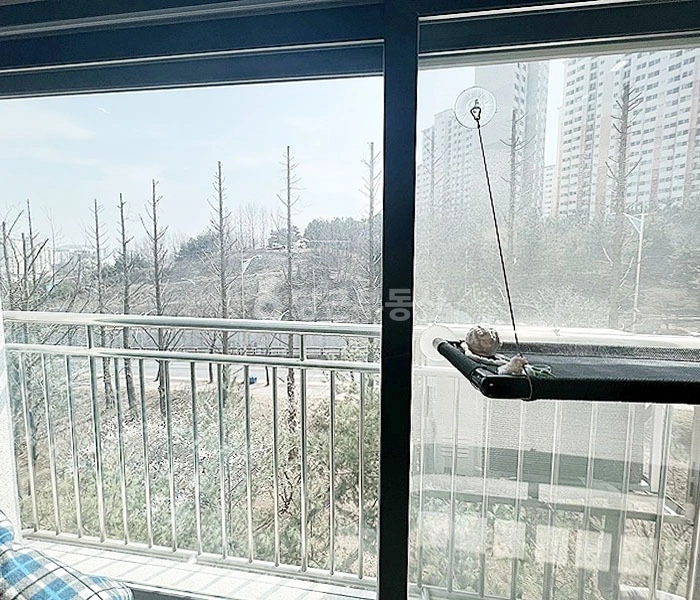 경기도 부천시 소사구 괴안동 빌라(투룸 이상) 사진 1