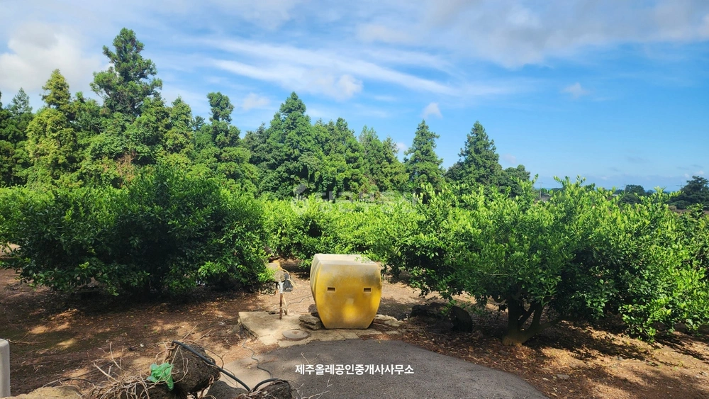 제주특별자치도 서귀포시 성산읍 토지 사진 1