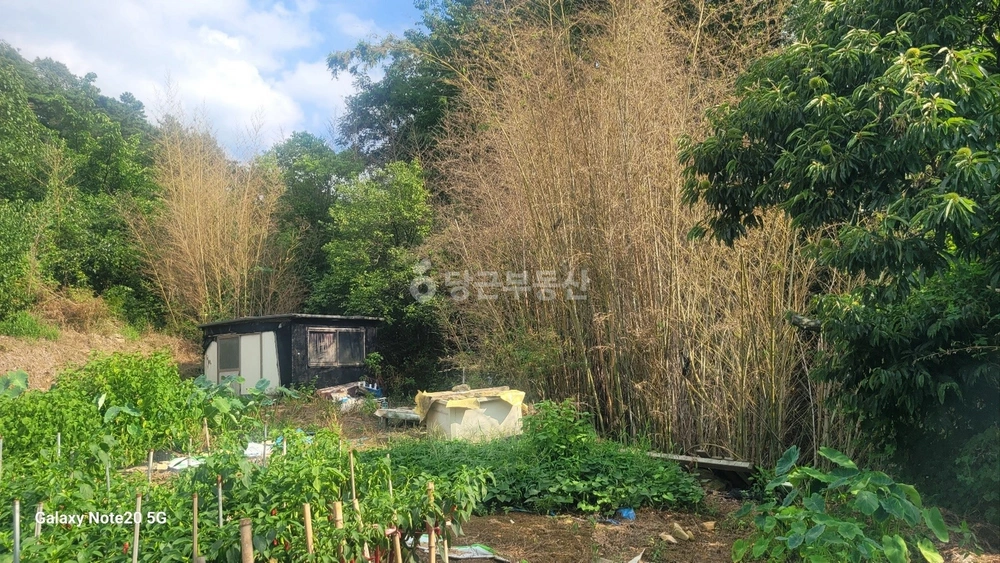 경상남도 양산시 동면 토지 사진 1