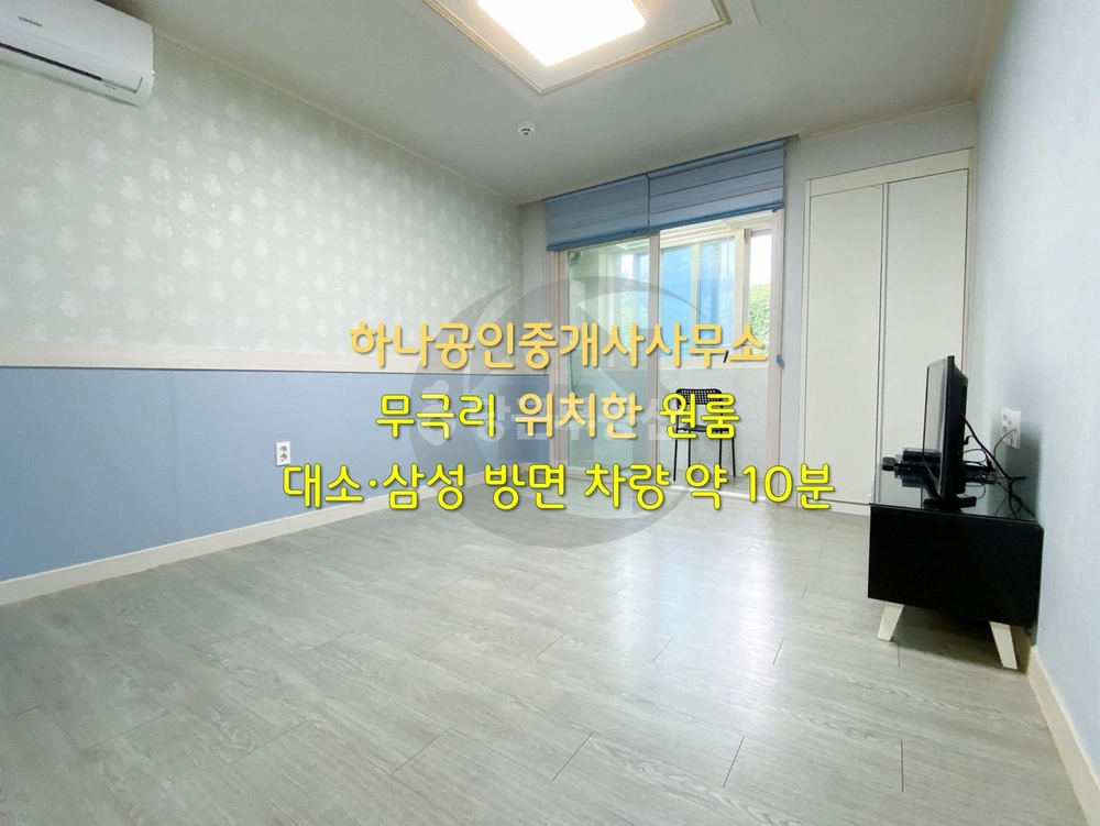 충청북도 음성군 금왕읍 원룸 사진 1