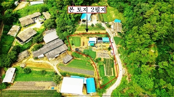 경상북도 영주시 하망동 토지 사진 1
