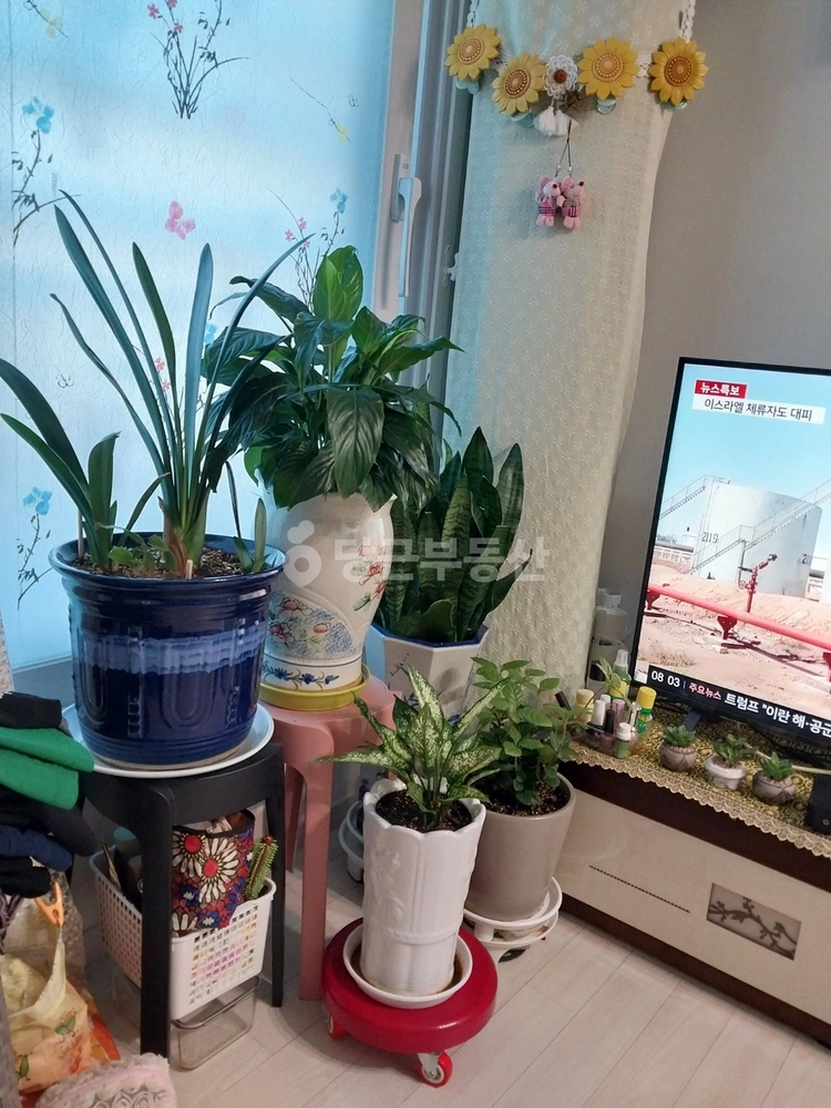 서울특별시 중랑구 망우동 빌라(투룸 이상) 사진 1