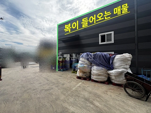 대전광역시 서구 월평동 공장/창고 사진 1