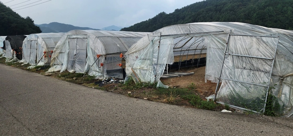경상북도 성주군 가천면 토지 사진 1