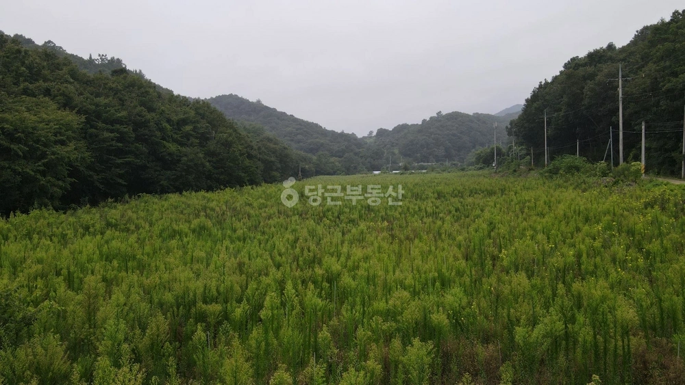 전북특별자치도 진안군 마령면 토지 사진 1