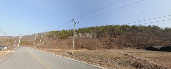 전남광주통합특별시 장흥군 유치면 토지 사진 1
