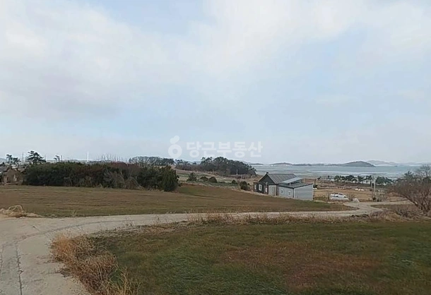 전남광주통합특별시 무안군 망운면 토지 사진 1