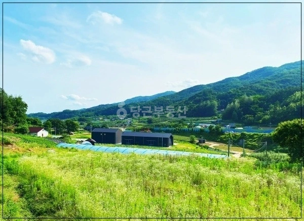 경상북도 영주시 평은면 토지 사진 1