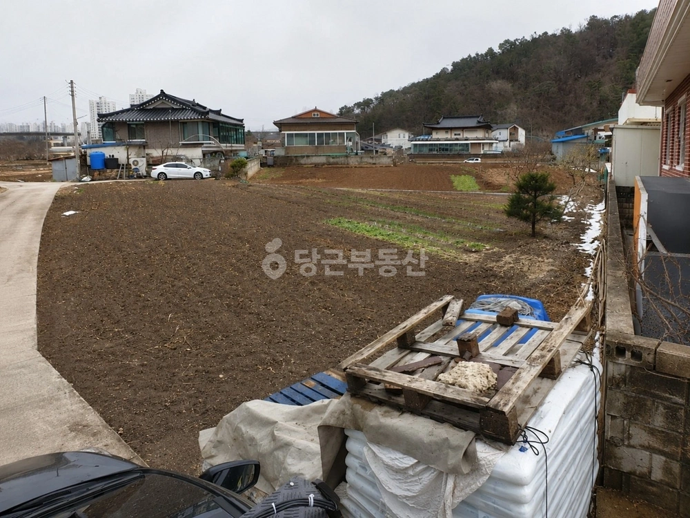 강원특별자치도 삼척시 오사동 토지 사진 1