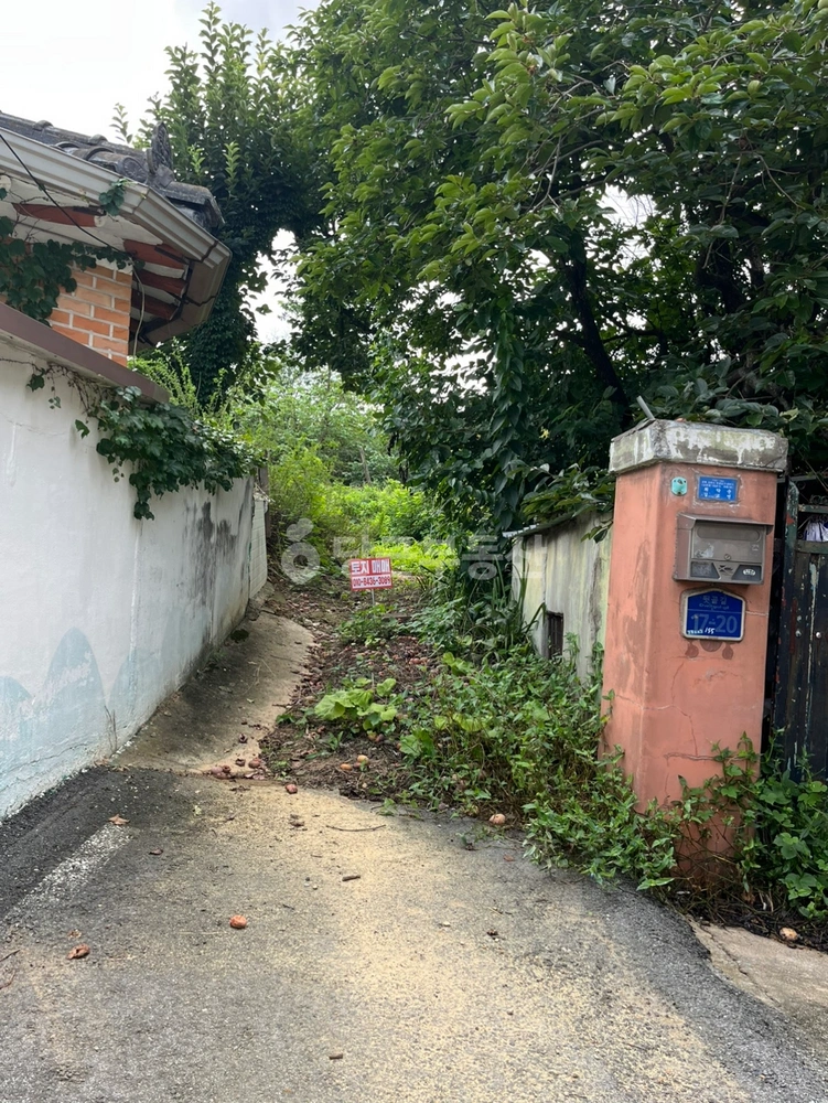 경상북도 김천시 응명동 토지 사진 1