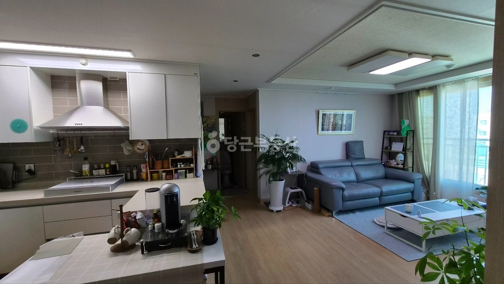 경상북도 포항시 남구 상도동 아파트 사진 1