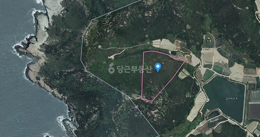 전남광주통합특별시 신안군 비금면 토지 사진 1