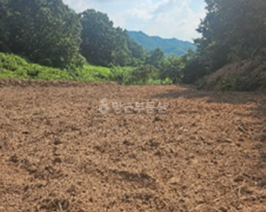 전남광주통합특별시 장성군 북이면 토지 사진 1