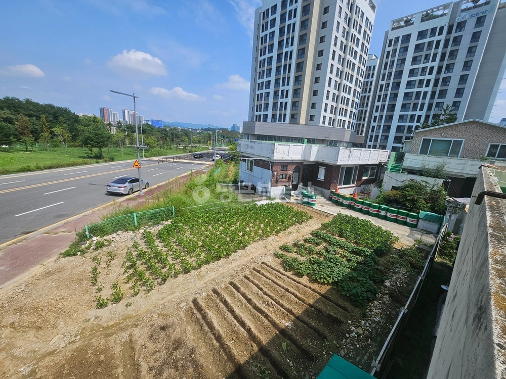 대전광역시 유성구 구암동 토지 사진 1