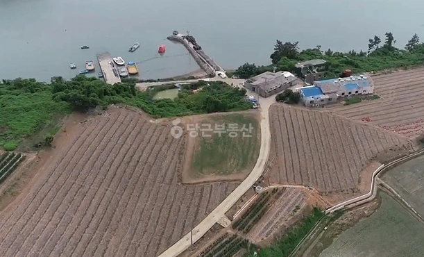 전남광주통합특별시 신안군 안좌면 토지 사진 1
