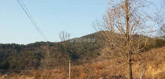 전남광주통합특별시 곡성군 목사동면 토지 사진 1