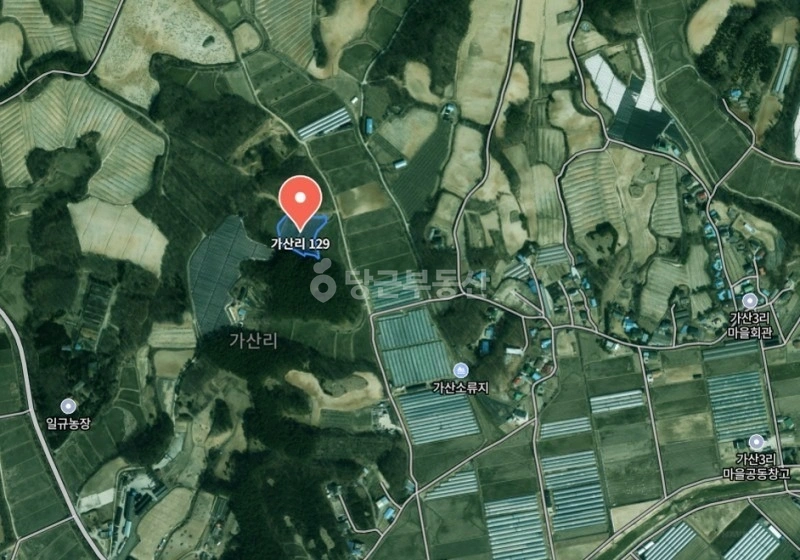 경기도 여주시 대신면 토지 사진 1