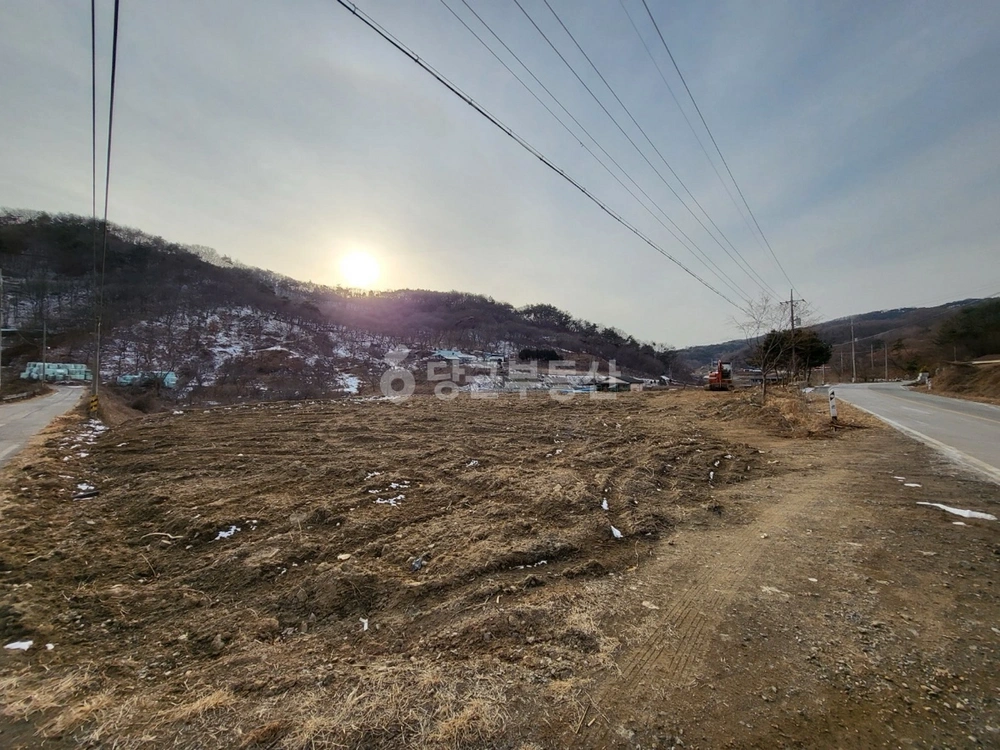 충청남도 청양군 목면 토지 사진 1