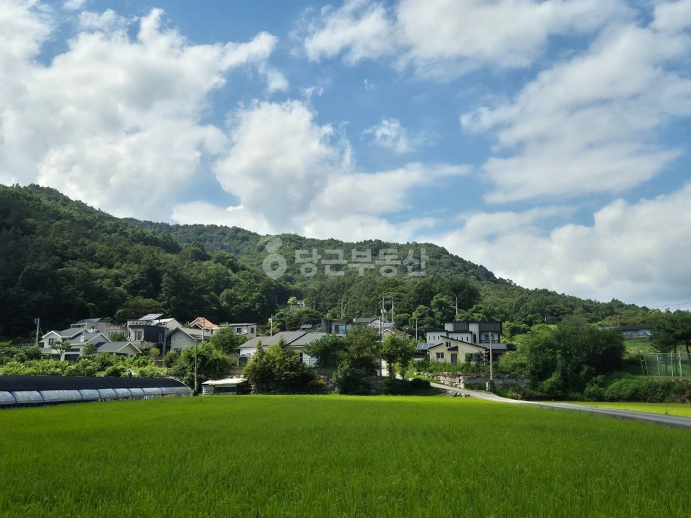 경기도 양평군 지평면 토지 사진 1