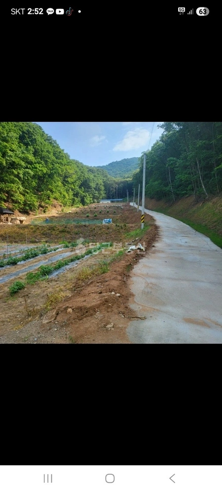 경기도 여주시 강천면 토지 사진 1