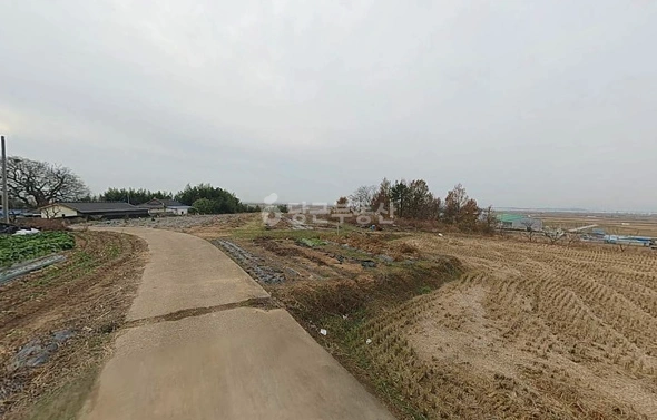 전남광주통합특별시 영암군 삼호읍 토지 사진 1