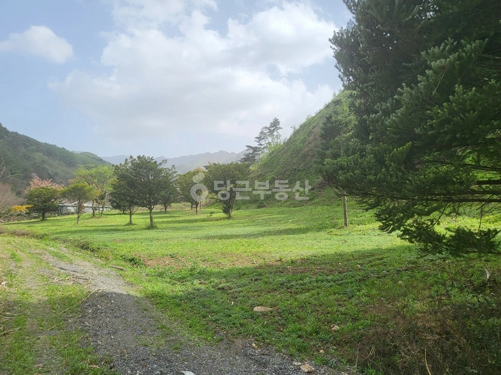 충청북도 단양군 가곡면 토지 사진 1