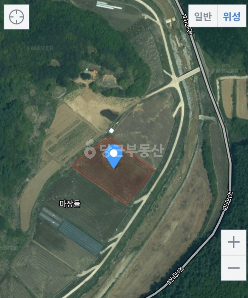 경상북도 봉화군 상운면 토지 사진 1