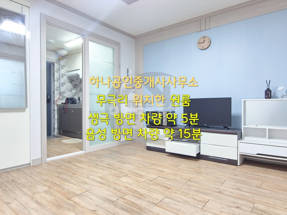충청북도 음성군 금왕읍 원룸 사진 1