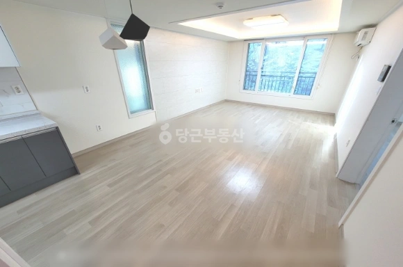 대전광역시 서구 도안동 빌라(투룸 이상) 사진 1