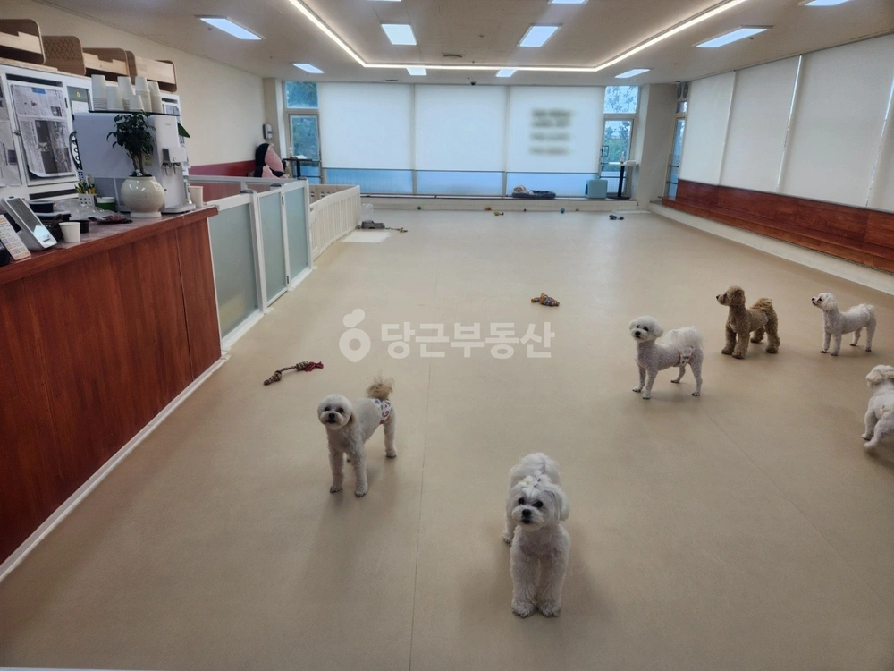 강원특별자치도 속초시 조양동 상가 사진 1