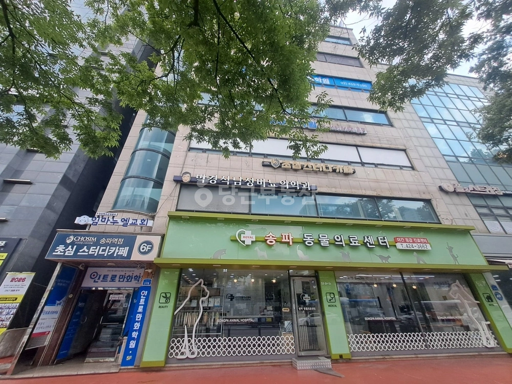 서울특별시 송파구 송파동 사무실 사진 1