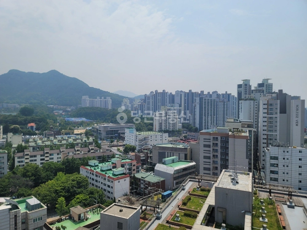 경기도 안양시 동안구 호계동 오피스텔 사진 1