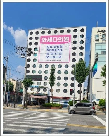 서울특별시 강남구 개포동 건물 사진 1
