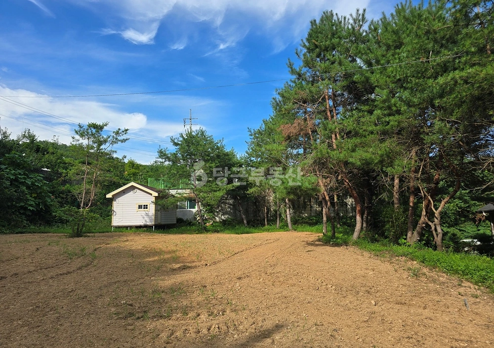 경기도 양평군 단월면 토지 사진 1