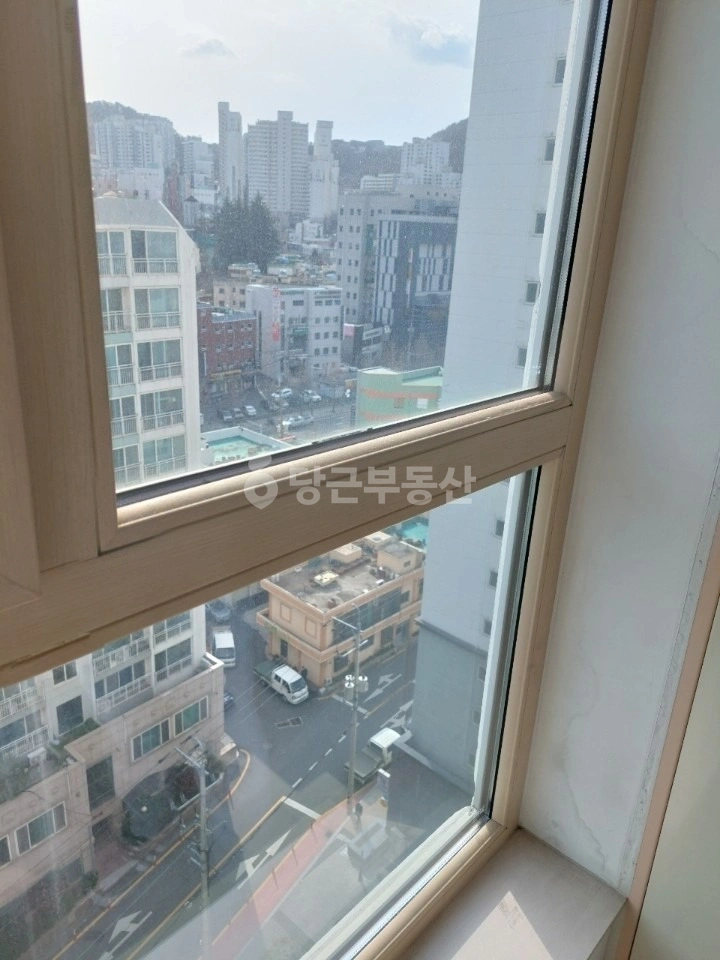 부산광역시 사하구 장림동 아파트 사진 1