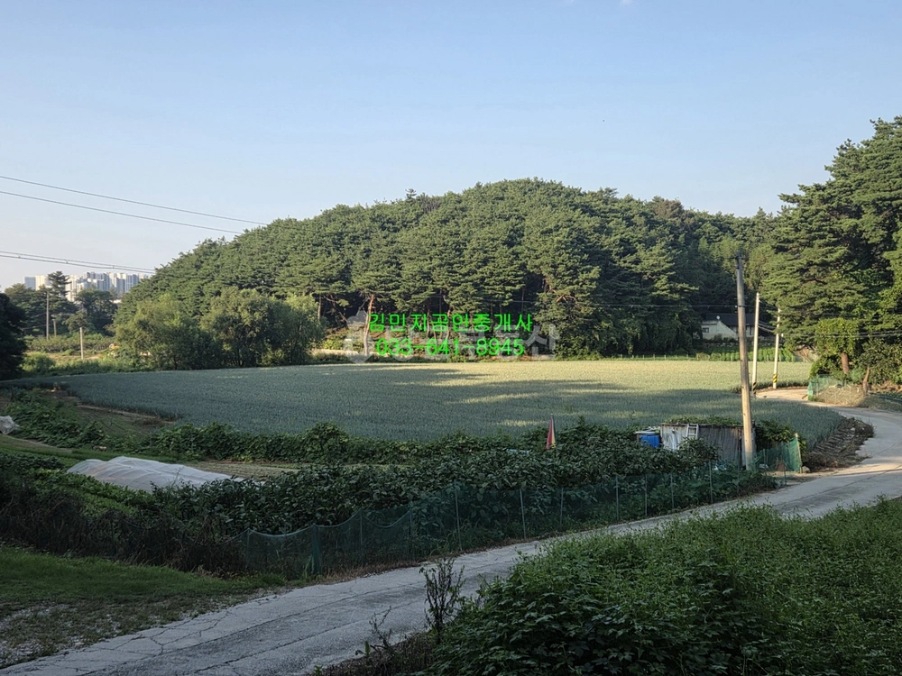 강원특별자치도 강릉시 두산동 토지 사진 1