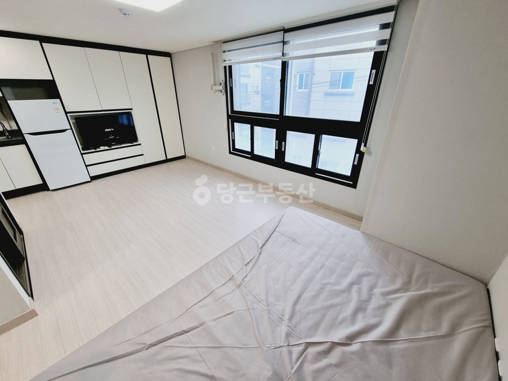 부산광역시 연제구 거제동 원룸 사진 1