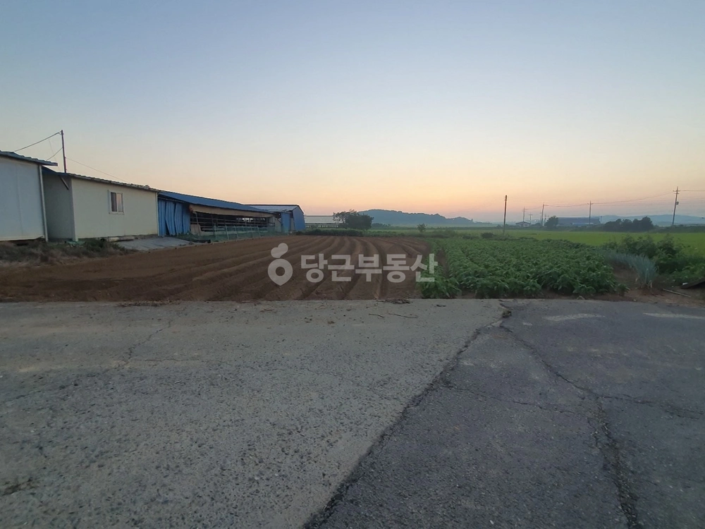 충청남도 보령시 남포면 토지 사진 1