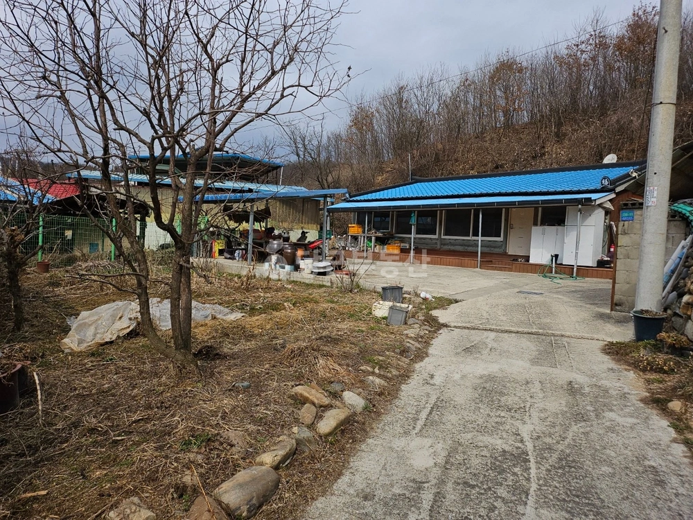 강원특별자치도 원주시 부론면 단독/전원주택 사진 1