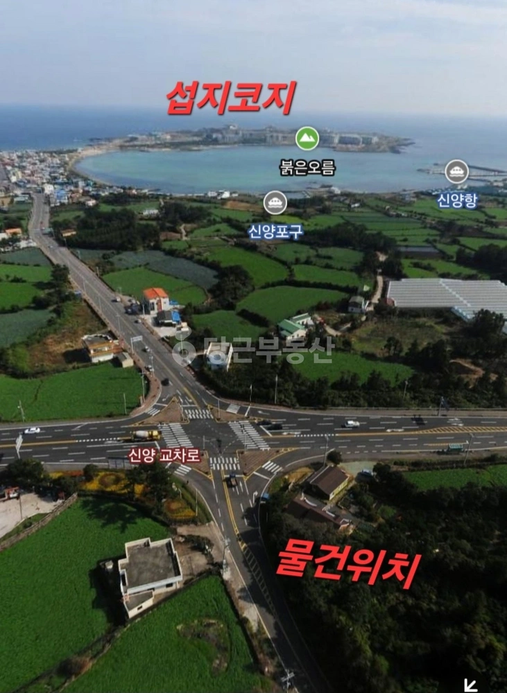 제주특별자치도 서귀포시 성산읍 단독/전원주택 사진 1