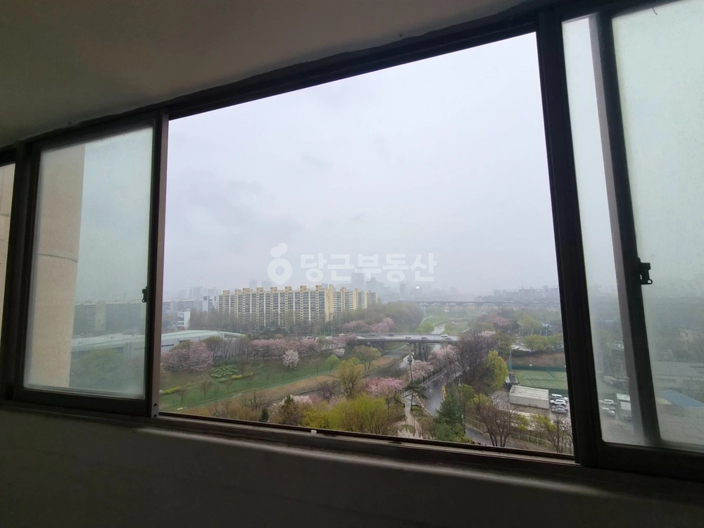 서울특별시 강남구 개포동 아파트 사진 1