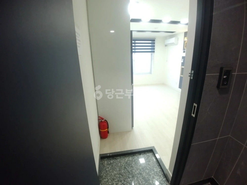 대전광역시 서구 괴정동 원룸 사진 1