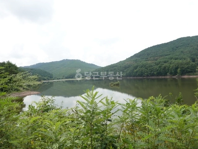 경상북도 영양군 수비면 토지 사진 1