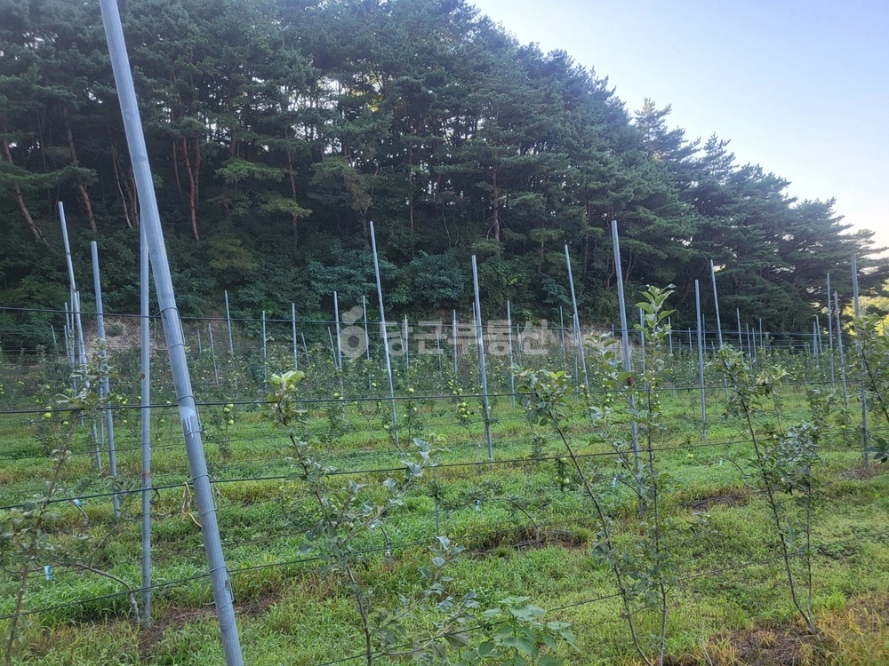 경상남도 거창군 웅양면 토지 사진 1