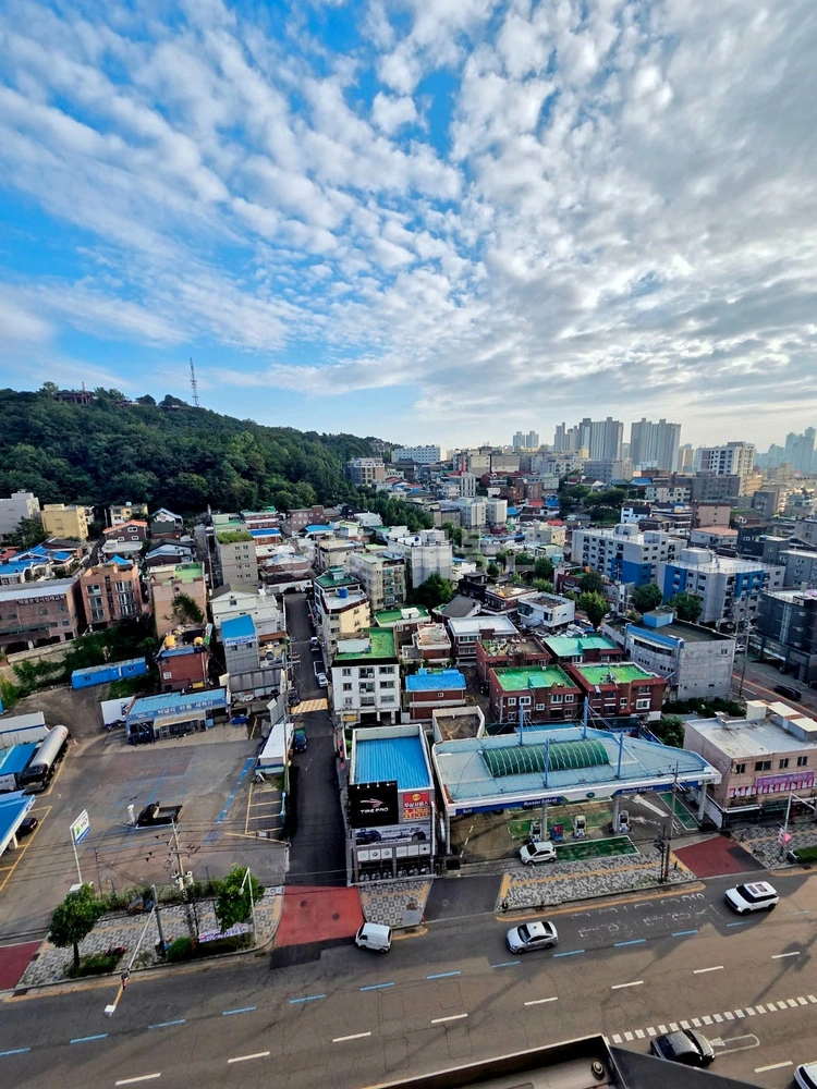인천광역시 미추홀구 도화동 아파트 사진 1