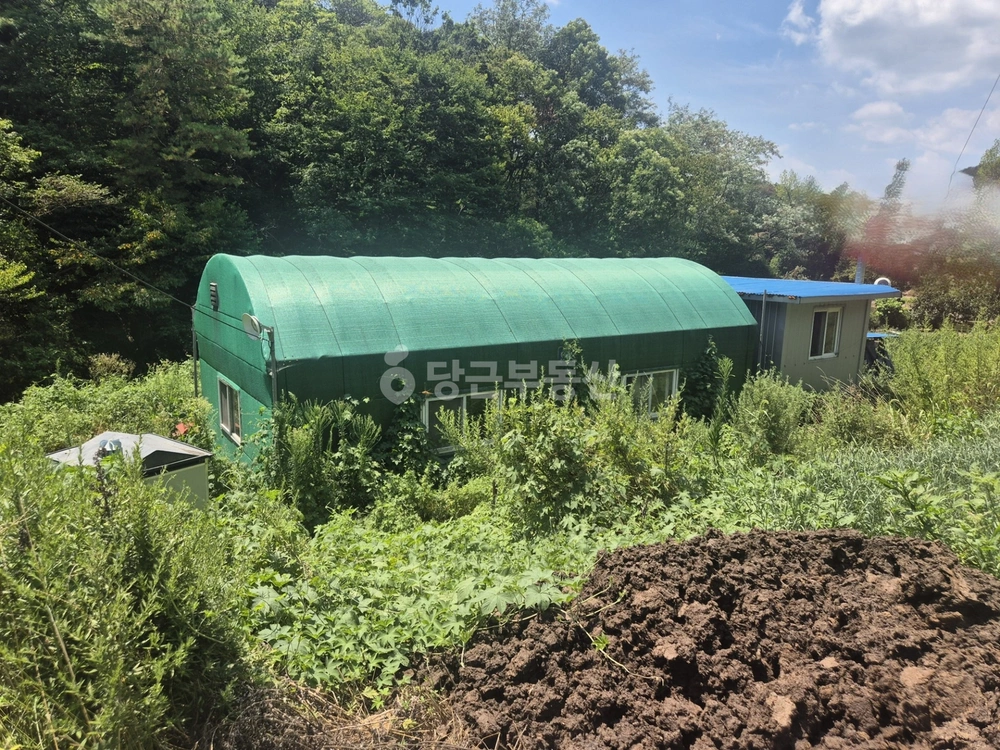 울산광역시 울주군 범서읍 토지 사진 1