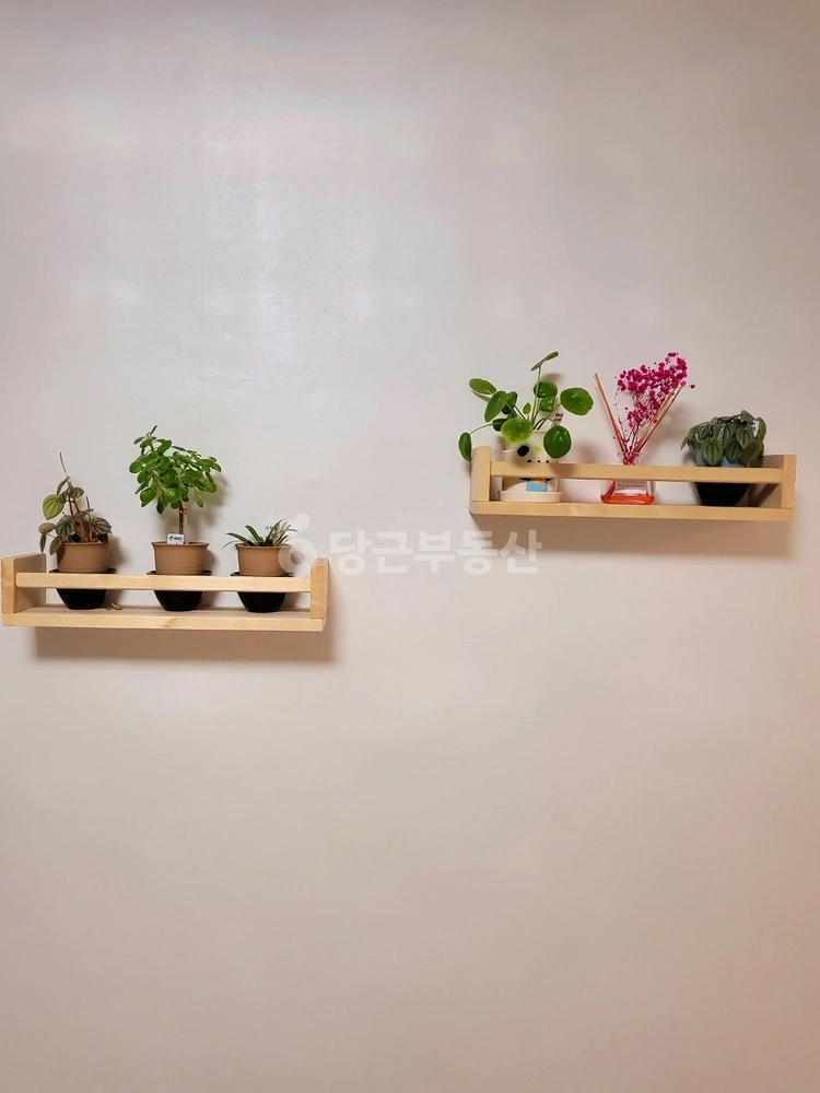 충청북도 제천시 남천동 상가 사진 1