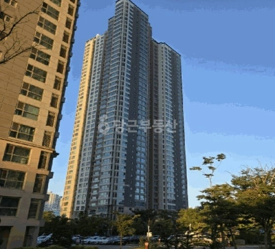 경상북도 포항시 북구 장성동 아파트 사진 1