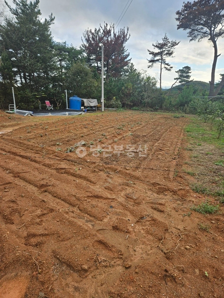 전남광주통합특별시 광양시 옥곡면 토지 사진 1