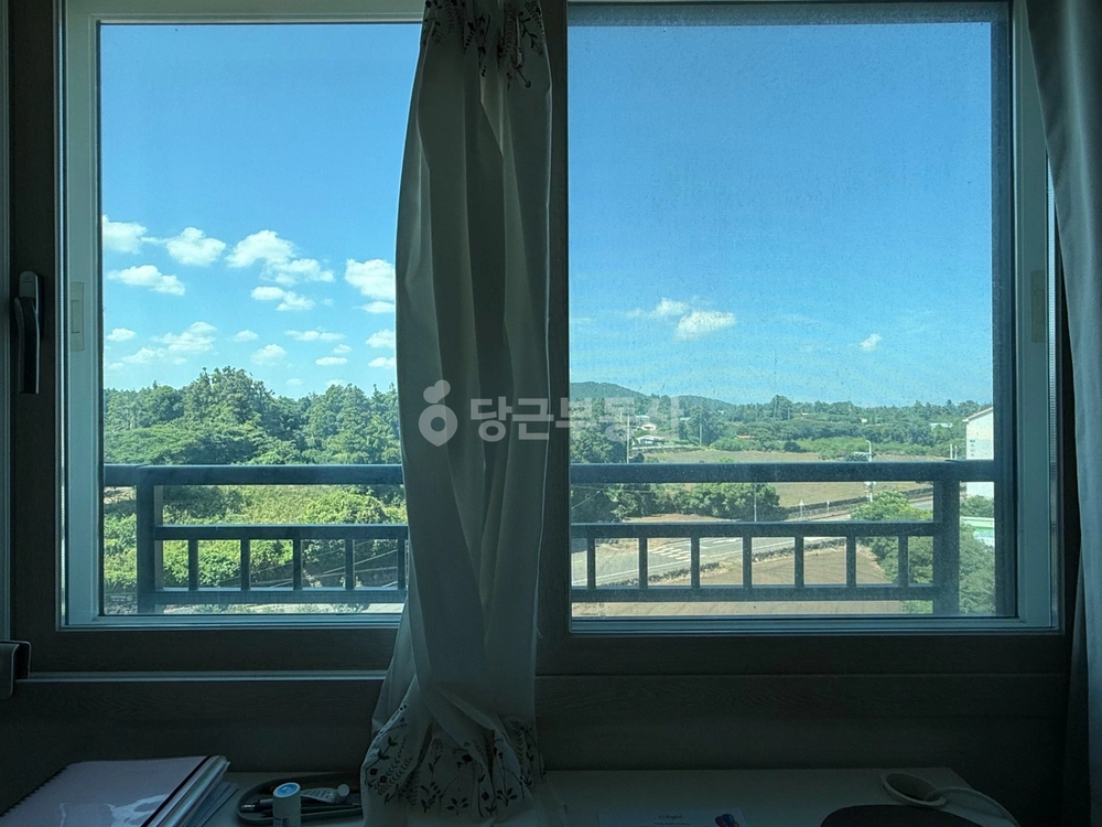 제주특별자치도 서귀포시 표선면 오피스텔 사진 1